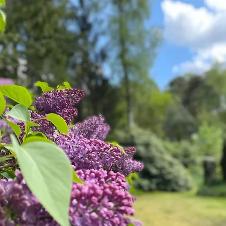 Steinhuder Schwalbennest * 노이슈타트암루벤베르크