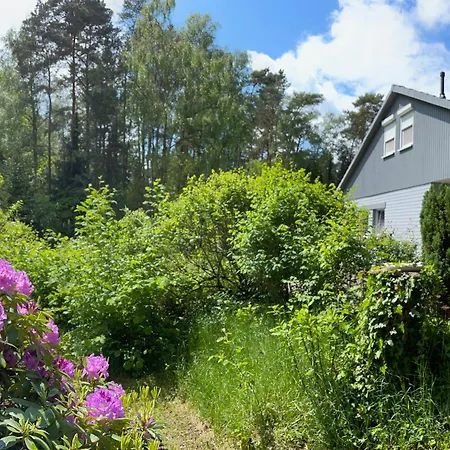 Steinhuder Schwalbennest Holiday home *
