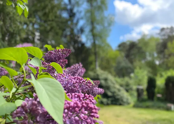 Steinhuder Schwalbennest * Neustadt am Rübenberge